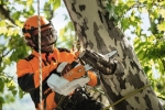 Afbeeldingen van Stihl MSA 161 T Accu kettingzaag 30cm