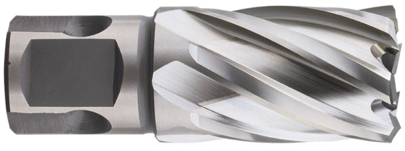 Afbeeldingen van HSS-XE Kernboor SILVER-LINE, universeel 19, ø19x30