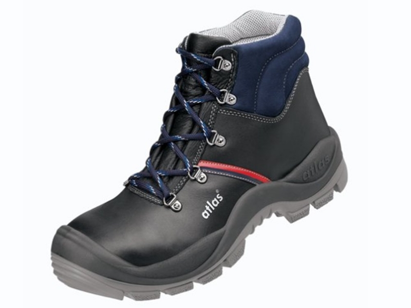 Afbeeldingen van Atlas Anatomic Bau 500 - 41