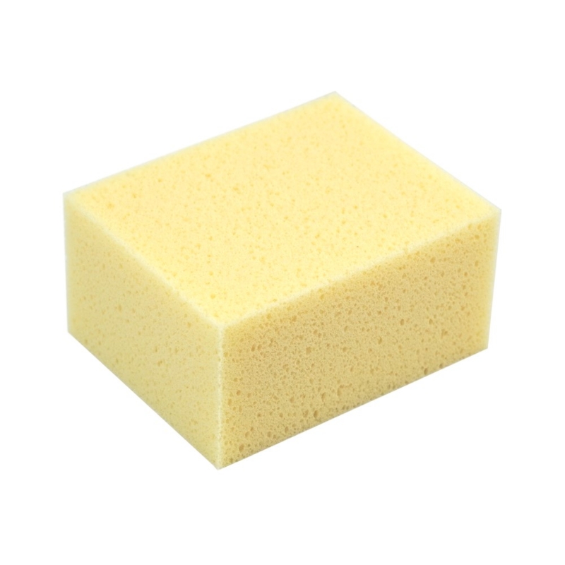 Afbeeldingen van Spons Hydro 200x130x75