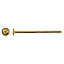 Afbeeldingen van Schotelkopschroef met P17-punt 8x160 torx-40